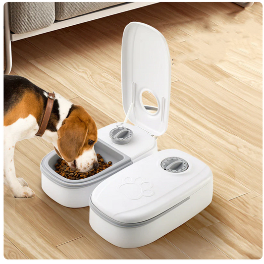 🐶 Why Every Pet Owner Needs an Automatic Pet Feeder