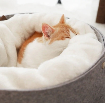 Warm Detachable Cat Bed House