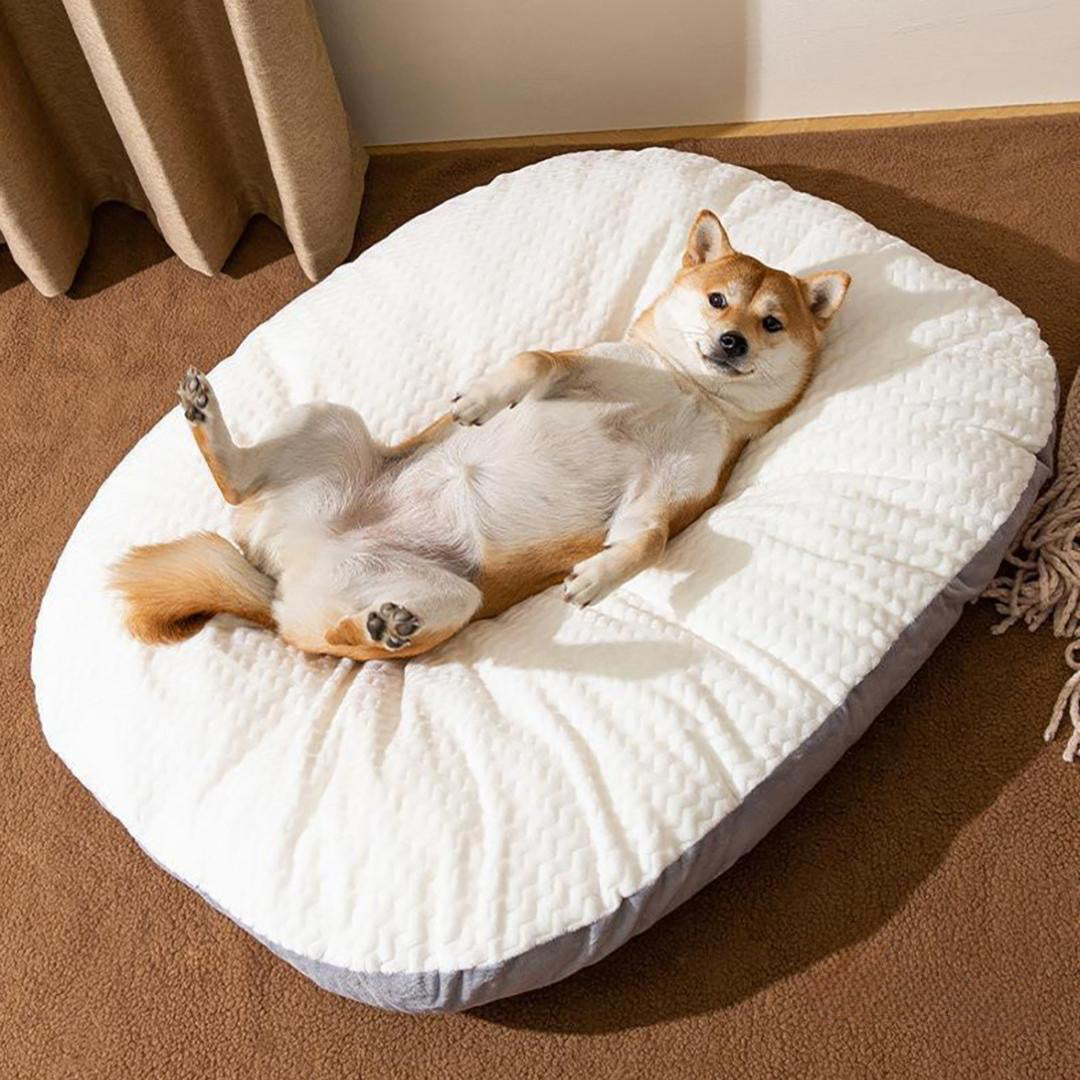 Oval Cushion Dog Bed