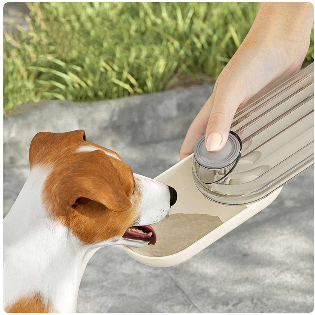 Waarom Elke Hondeneigenaar een 2-in-1 Water- & Voederfles Nodig Heeft