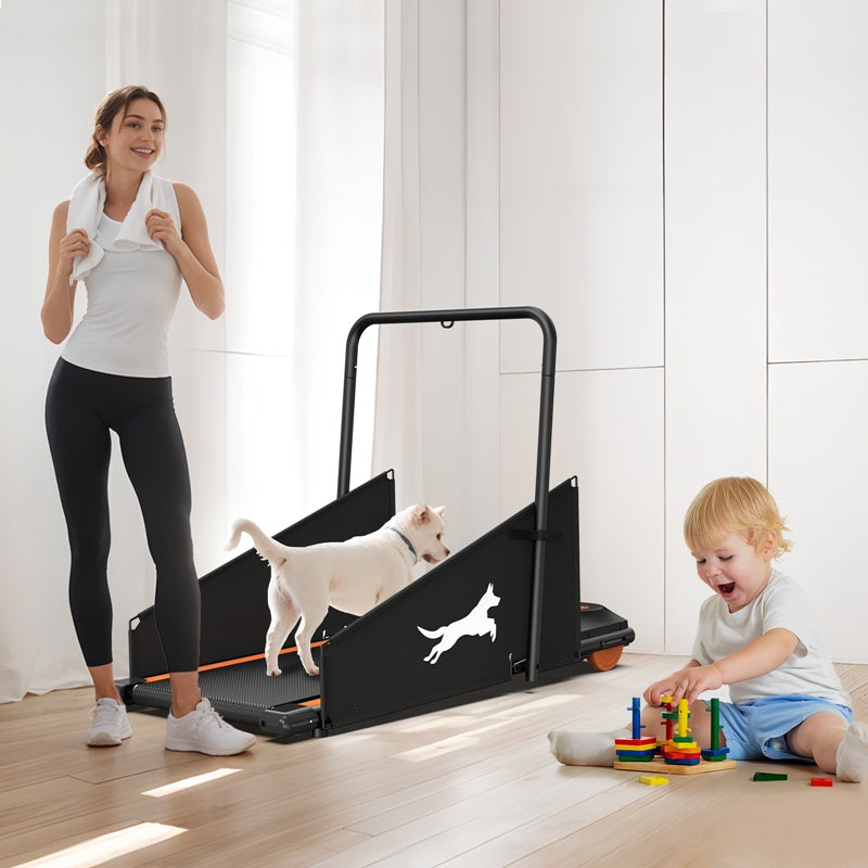 Dog Treadmill