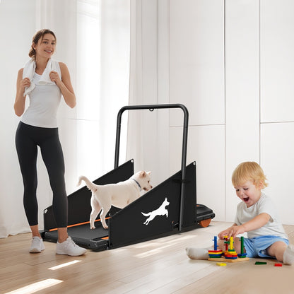 Dog Treadmill