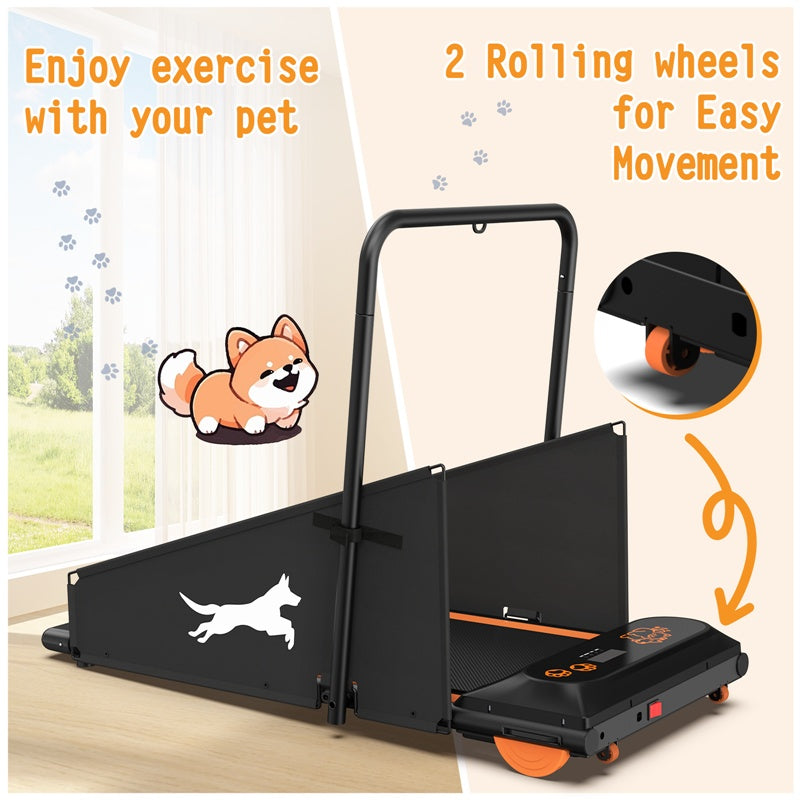 Dog Treadmill