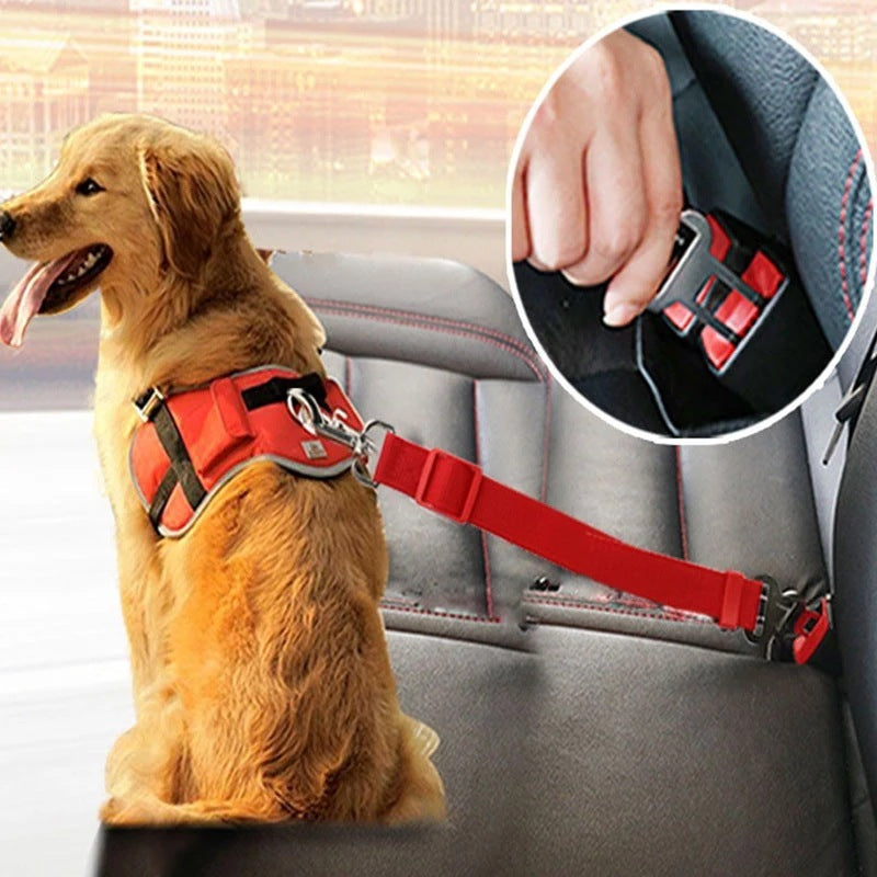 Secure Ride Seat Belt for Dogs and Cats