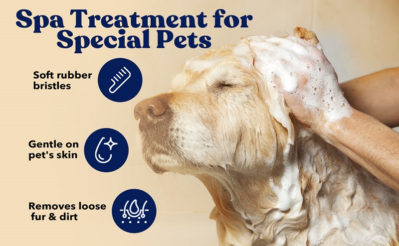 2-in-1 Dog & Cat Spa Brush – Groom While You Wash