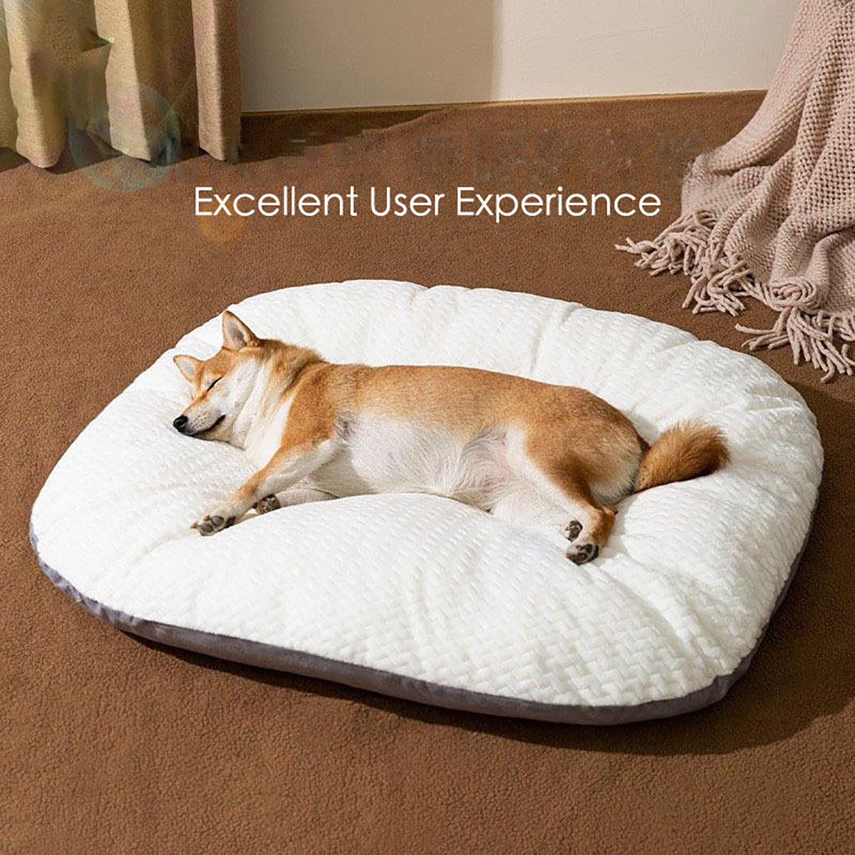 Oval Cushion Dog Bed