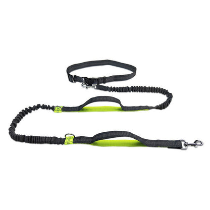 Jogging Leash & Harness          
