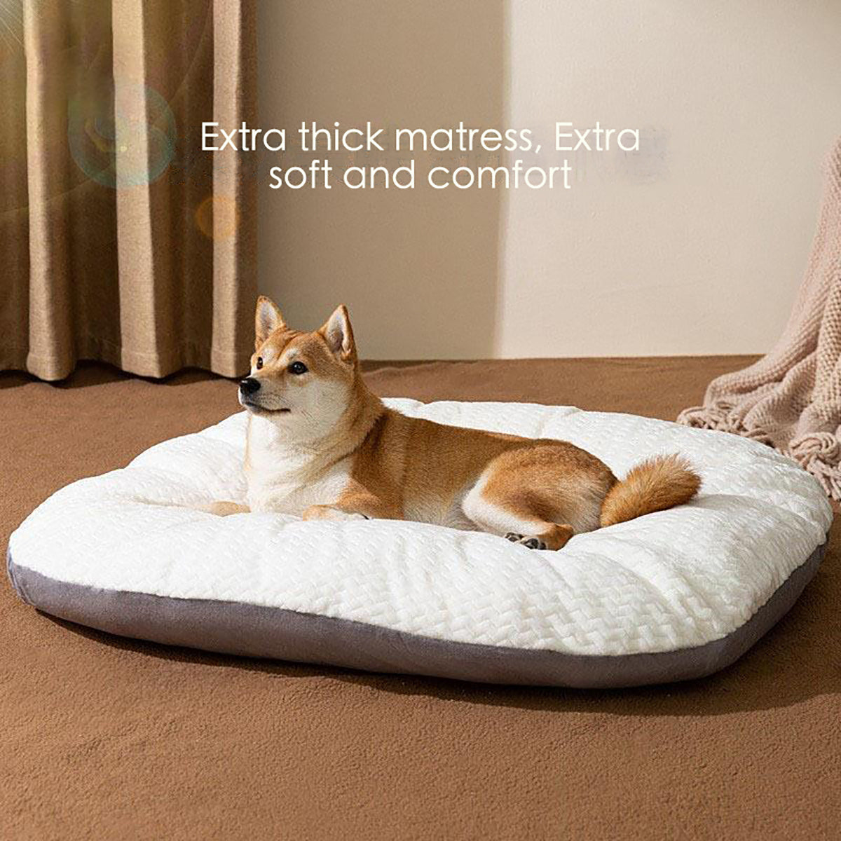 Oval Cushion Dog Bed