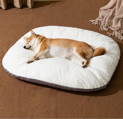 Oval Cushion Dog Bed