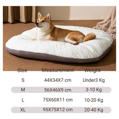 Oval Cushion Dog Bed