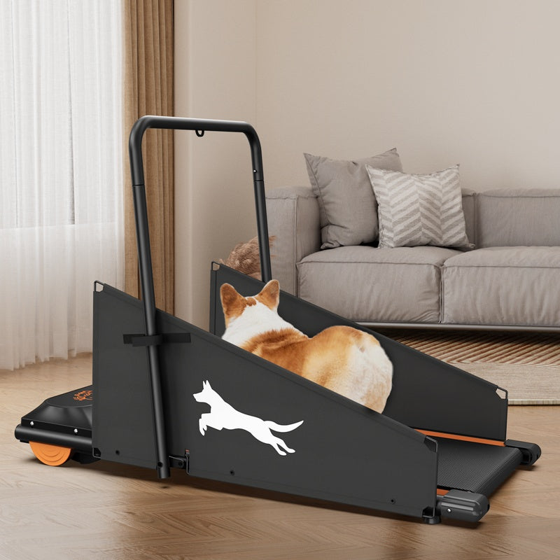 Dog Treadmill