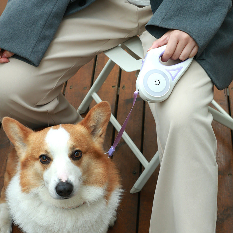 Retractable Leash with Collar and Built-in Light