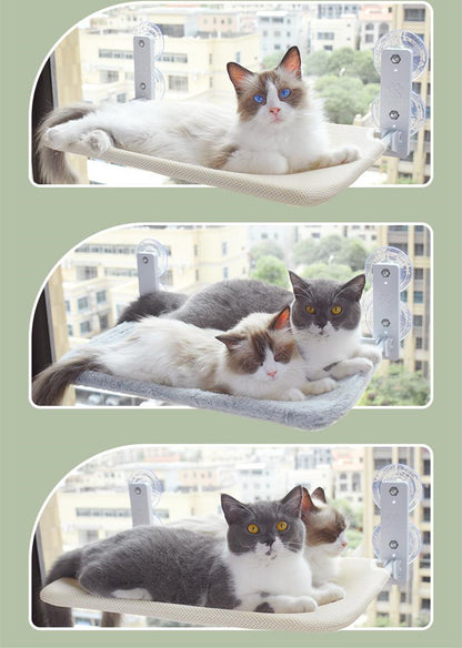 Cat Hammock – Suction Cup for Window and Glass