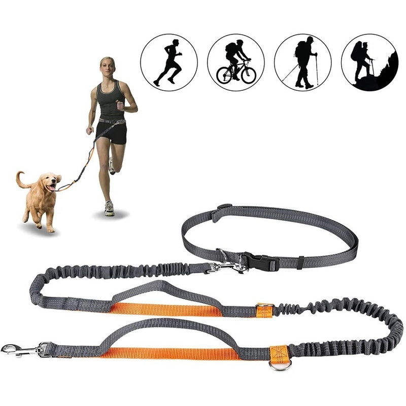 All-in-One Jogging Leash &amp; Harness for Happy Walks